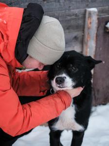 Schöne Erinnerungen von uns allen zusammen mit den Huskys