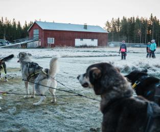 Alle von uns waren von Anfang an involviert und auch die Mädels waren von Beginn weg voll involviert.