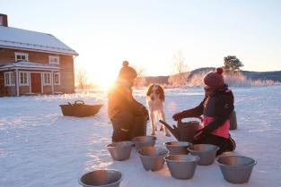 Die Huskys sind immer da, haben Hunger und müssen laufen gehen! Teamsmeeting oder bei Tageslicht draussen mit den Huskys?